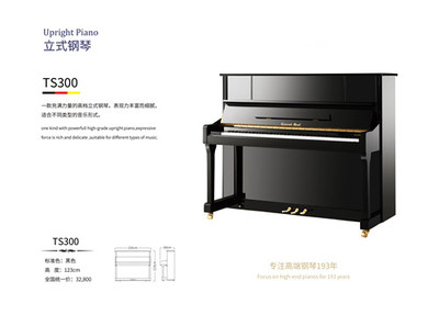 德国格拉夫TS300